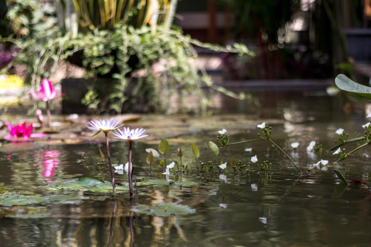 Hidden Padma Retreat Hotel Ubud Exterior foto